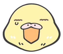 Java sparrow and budgie (Japanese) sticker #15681359