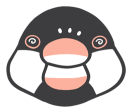 Java sparrow and budgie (Japanese) sticker #15681362
