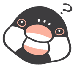 Java sparrow and budgie (Japanese) sticker #15681365