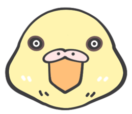 Java sparrow and budgie (Japanese) sticker #15681367