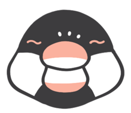 Java sparrow and budgie (Japanese) sticker #15681368