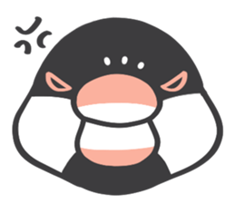 Java sparrow and budgie (Japanese) sticker #15681371