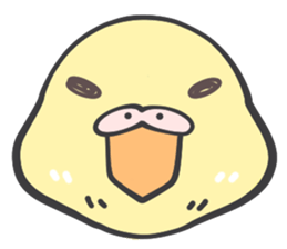 Java sparrow and budgie (Japanese) sticker #15681372