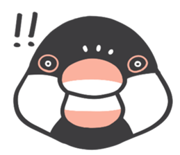 Java sparrow and budgie (Japanese) sticker #15681375
