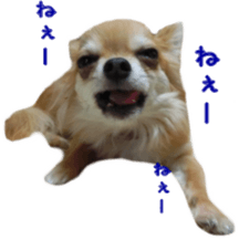 Sticker of Cereza13 sticker #15681618