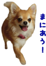 Sticker of Cereza13 sticker #15681623