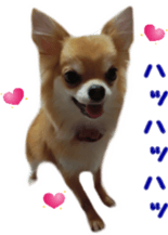 Sticker of Cereza13 sticker #15681624