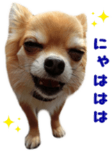 Sticker of Cereza13 sticker #15681625