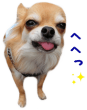 Sticker of Cereza13 sticker #15681626