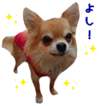 Sticker of Cereza13 sticker #15681627