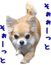 Sticker of Cereza13 sticker #15681628