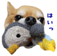 Sticker of Cereza13 sticker #15681630