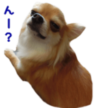 Sticker of Cereza13 sticker #15681633