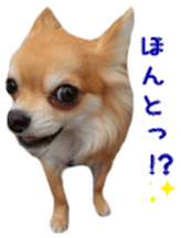 Sticker of Cereza13 sticker #15681634