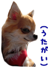 Sticker of Cereza13 sticker #15681636