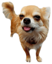 Sticker of Cereza13 sticker #15681637