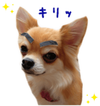 Sticker of Cereza13 sticker #15681639