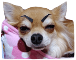 Sticker of Cereza13 sticker #15681645