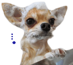 Sticker of Cereza13 sticker #15681646