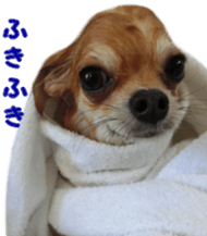 Sticker of Cereza13 sticker #15681647