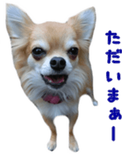 Sticker of Cereza13 sticker #15681652