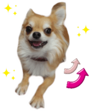 Sticker of Cereza13 sticker #15681654