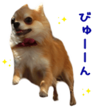 Sticker of Cereza13 sticker #15681655