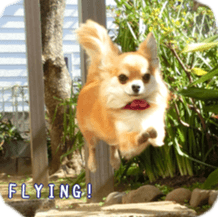 Sticker of Cereza13 sticker #15681656