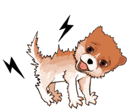 pommy dog sticker #15681662