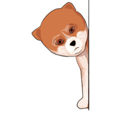 pommy dog sticker #15681666