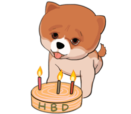 pommy dog sticker #15681678