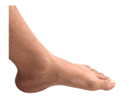 Hand n Foot Animation Fun Pack Global sticker #15683098