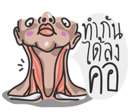 ANATOMY 2 sticker #15684509