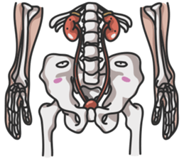 ANATOMY 2 sticker #15684514