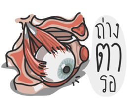 ANATOMY 2 sticker #15684531