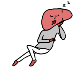 Liver man! sticker #15686041