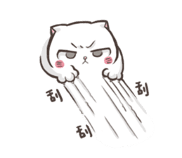 New-Scottish Fold-White Rabbit2 sticker #15688058