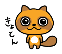 Cheeky raccoon dog Small owl sticker #15688389