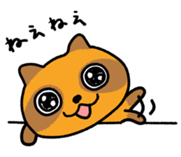 Cheeky raccoon dog Small owl sticker #15688394