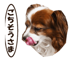 active dog papy sticker #15689099