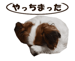 active dog papy sticker #15689100