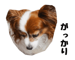 active dog papy sticker #15689103