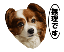 active dog papy sticker #15689107