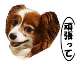 active dog papy sticker #15689108
