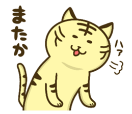 Bear and tiger's good friend sticker 2 sticker #15689504