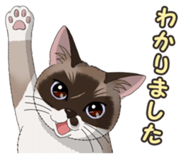 4Cats Vol.2 sticker #15689850