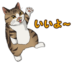 4Cats Vol.2 sticker #15689852