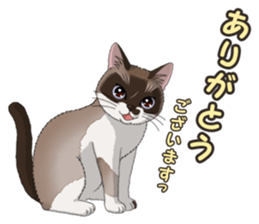 4Cats Vol.2 sticker #15689854