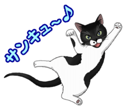 4Cats Vol.2 sticker #15689855