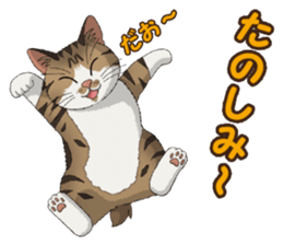 4Cats Vol.2 sticker #15689856